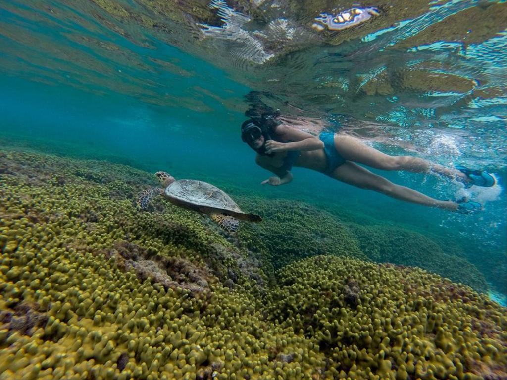 Konukevi Thoddoo, Maldives Thoddoo