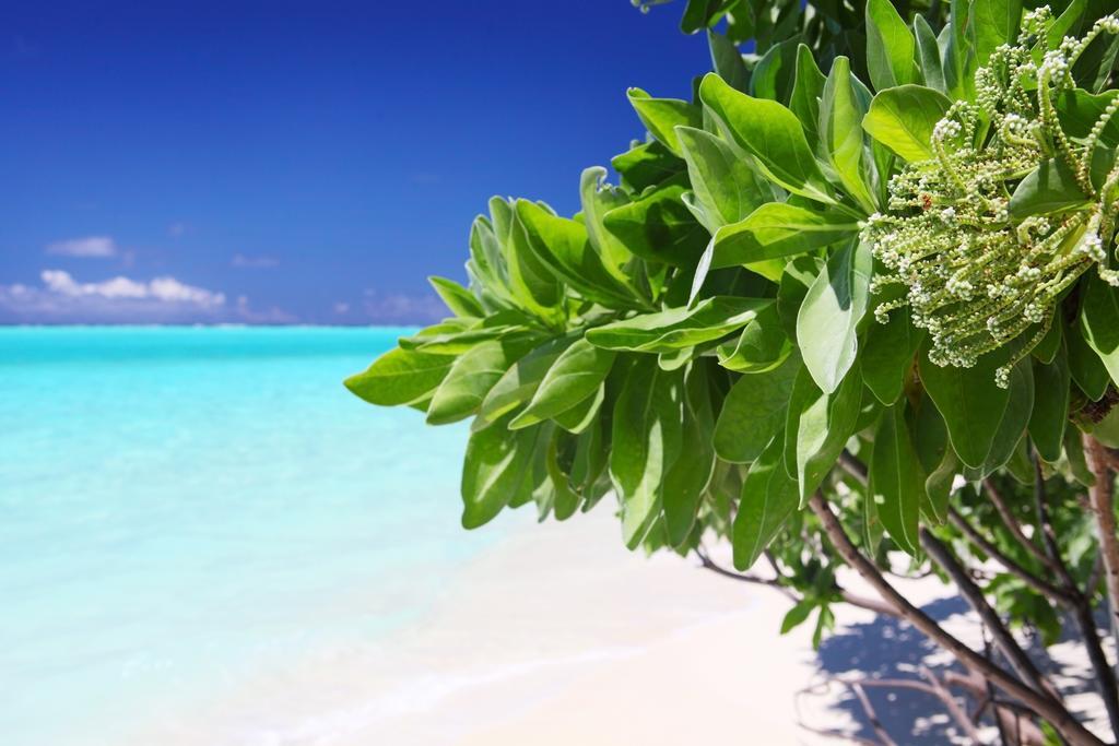 Thoddoo, Maldives