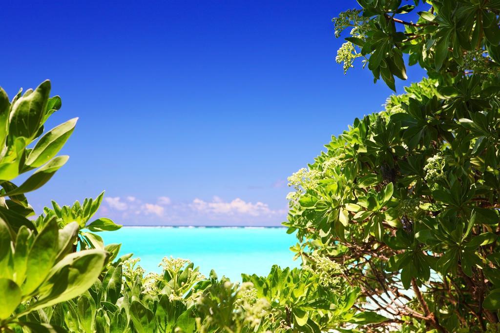 Guest house Thoddoo, Maldives 3*
