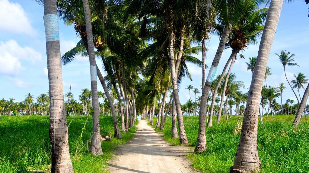 Thoddoo, Maldives
