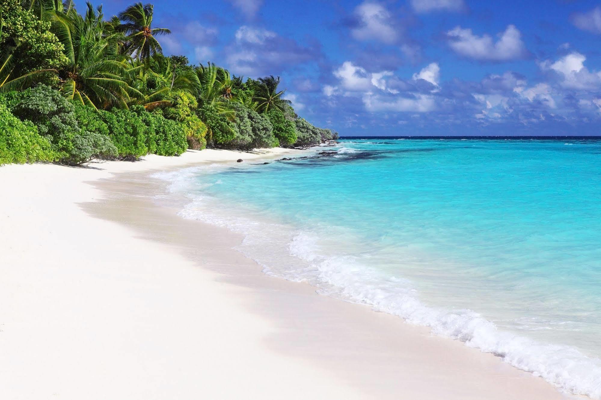 Konukevi Thoddoo, Maldives 3*